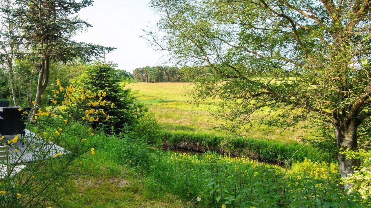Photo of Others in Holstebro