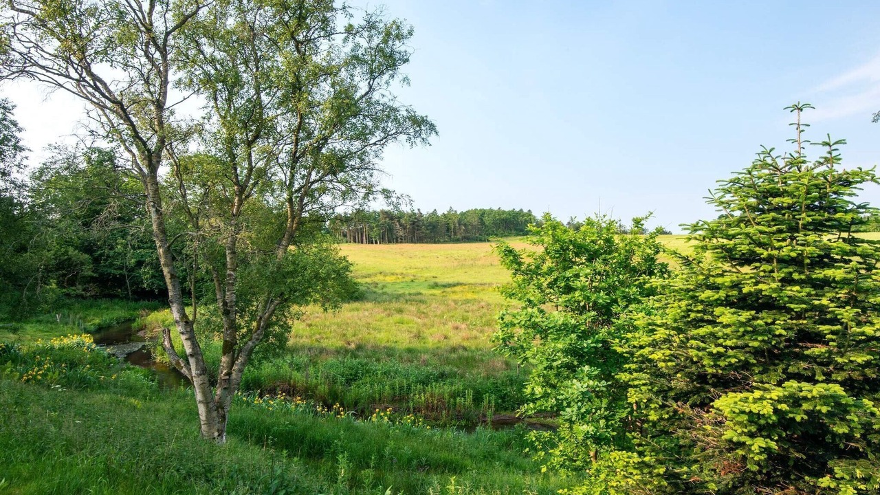 Photo of Others in Holstebro