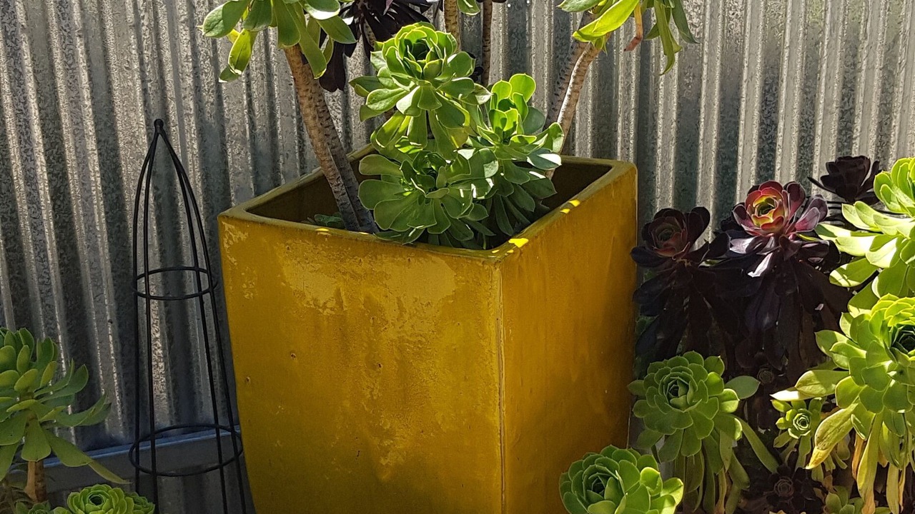 Photo of Outdoor in Echuca