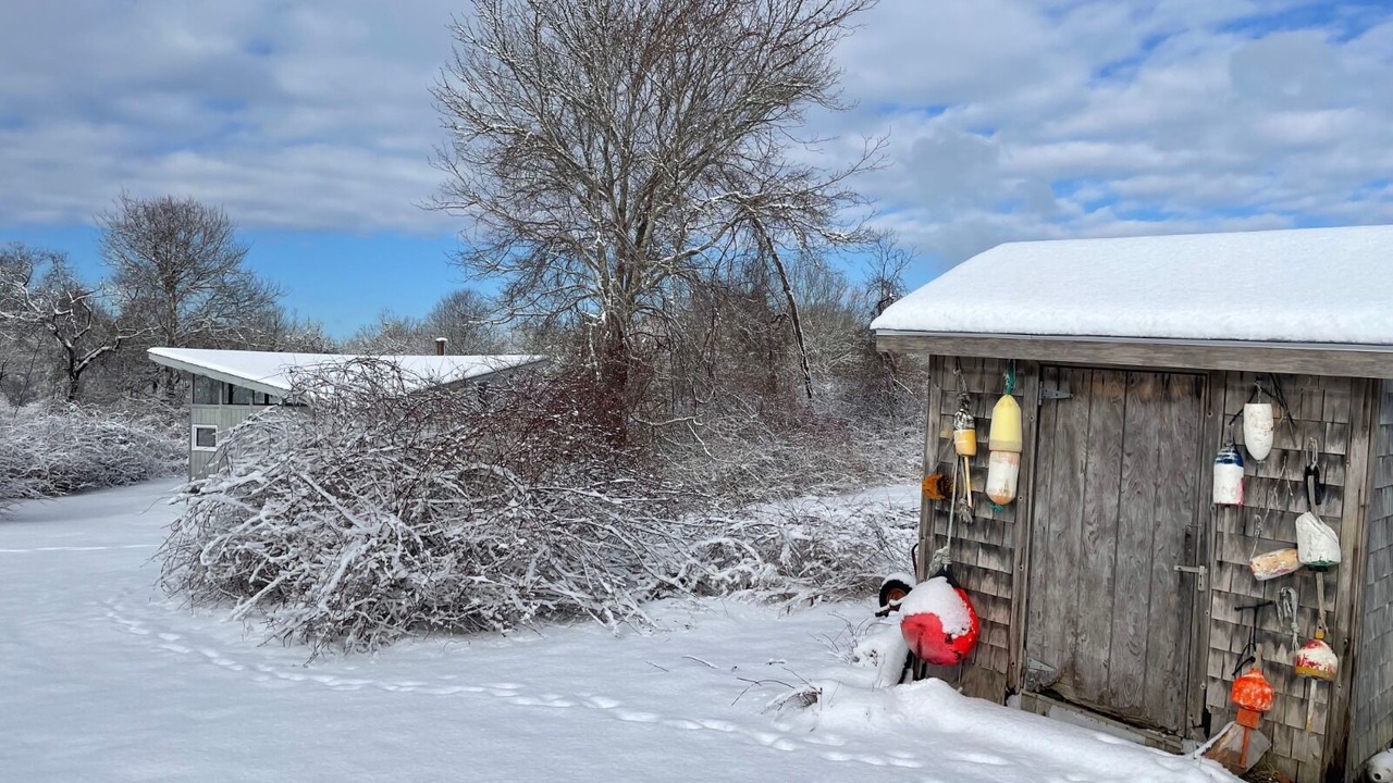 Photo of Others in Little Compton