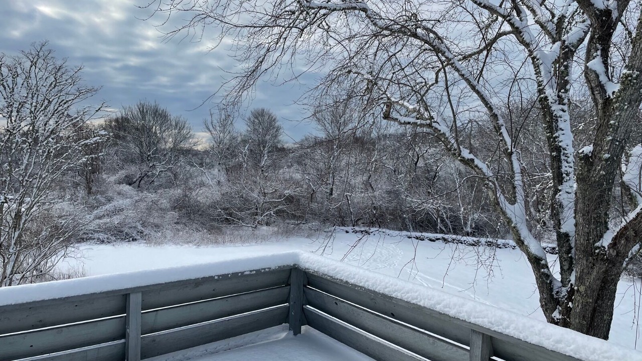 Photo of Others in Little Compton