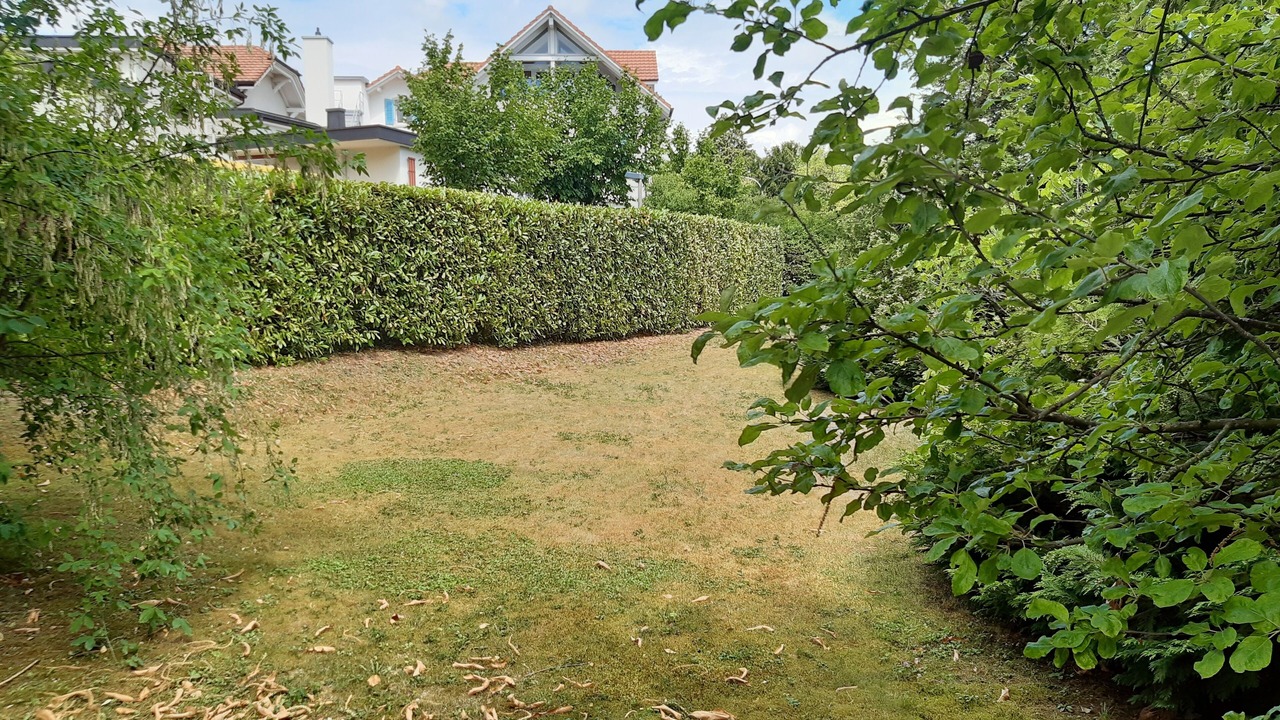 Photo of Outdoor in Horgen District
