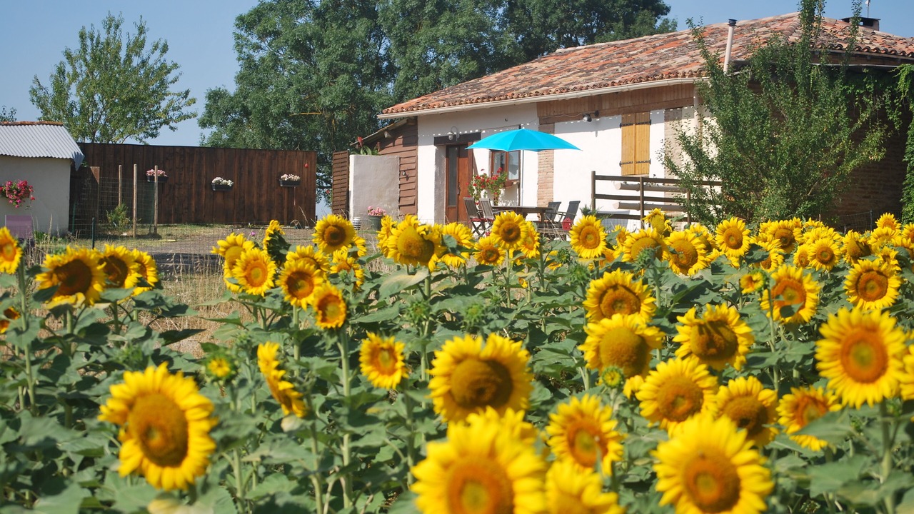 Photo of Outdoor in Le Cause
