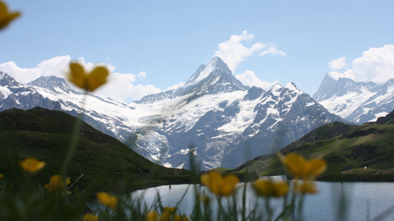 Photo of Outdoor in Grindelwald