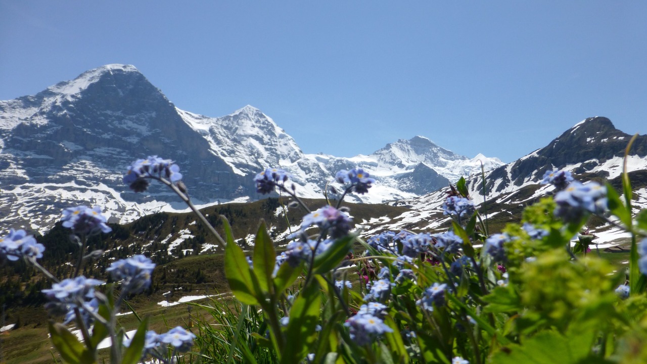 Photo of Outdoor in Grindelwald