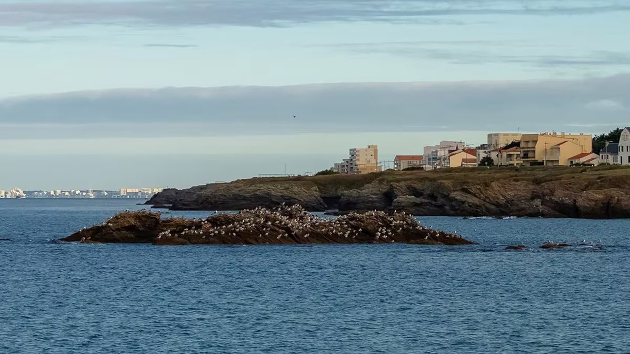 Photo of Others in Saint-Gilles-Croix-de-Vie