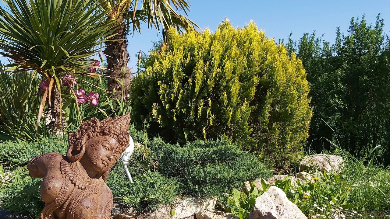 Photo of Outdoor in Monjoi