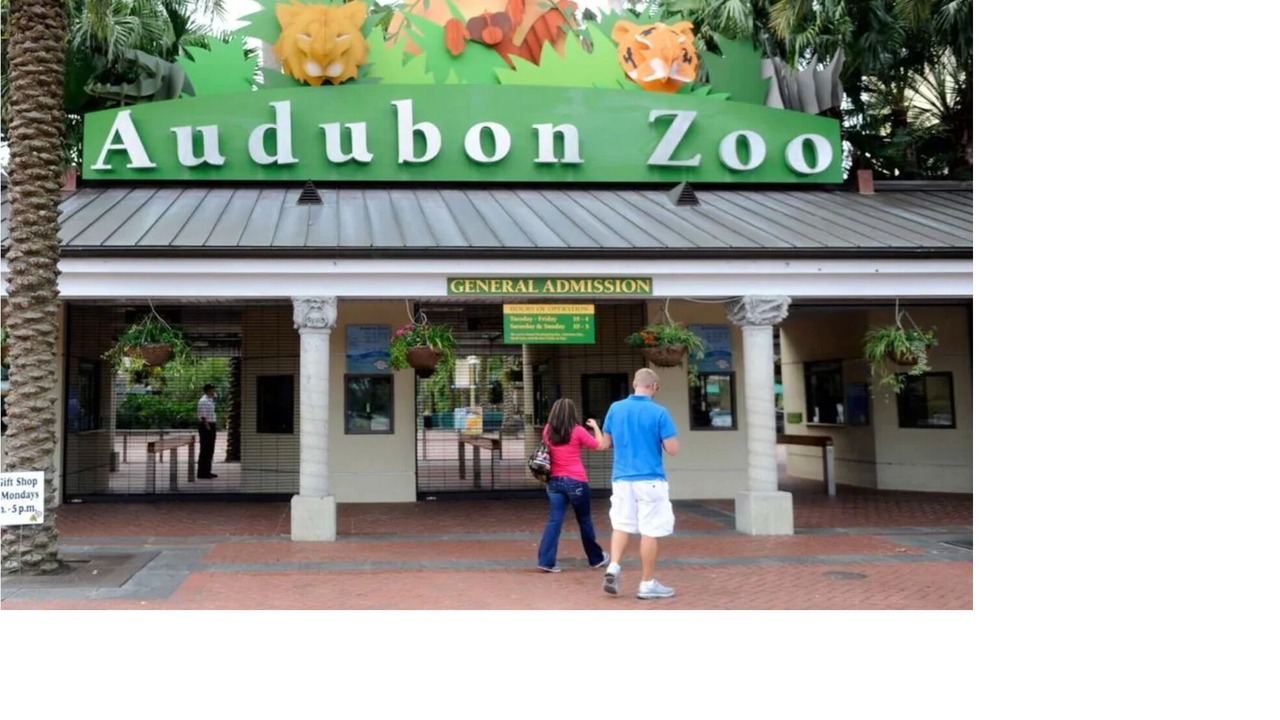 Photo of Others in Gulfport