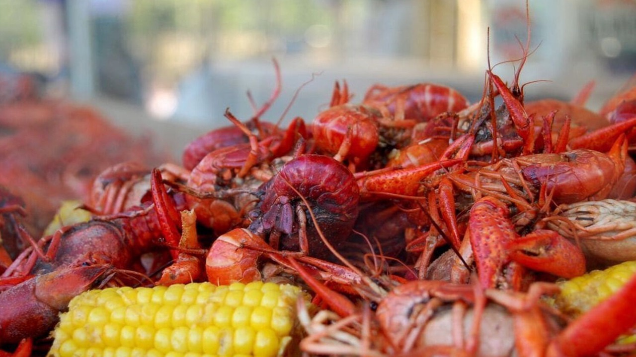 Photo of Others in Gulfport