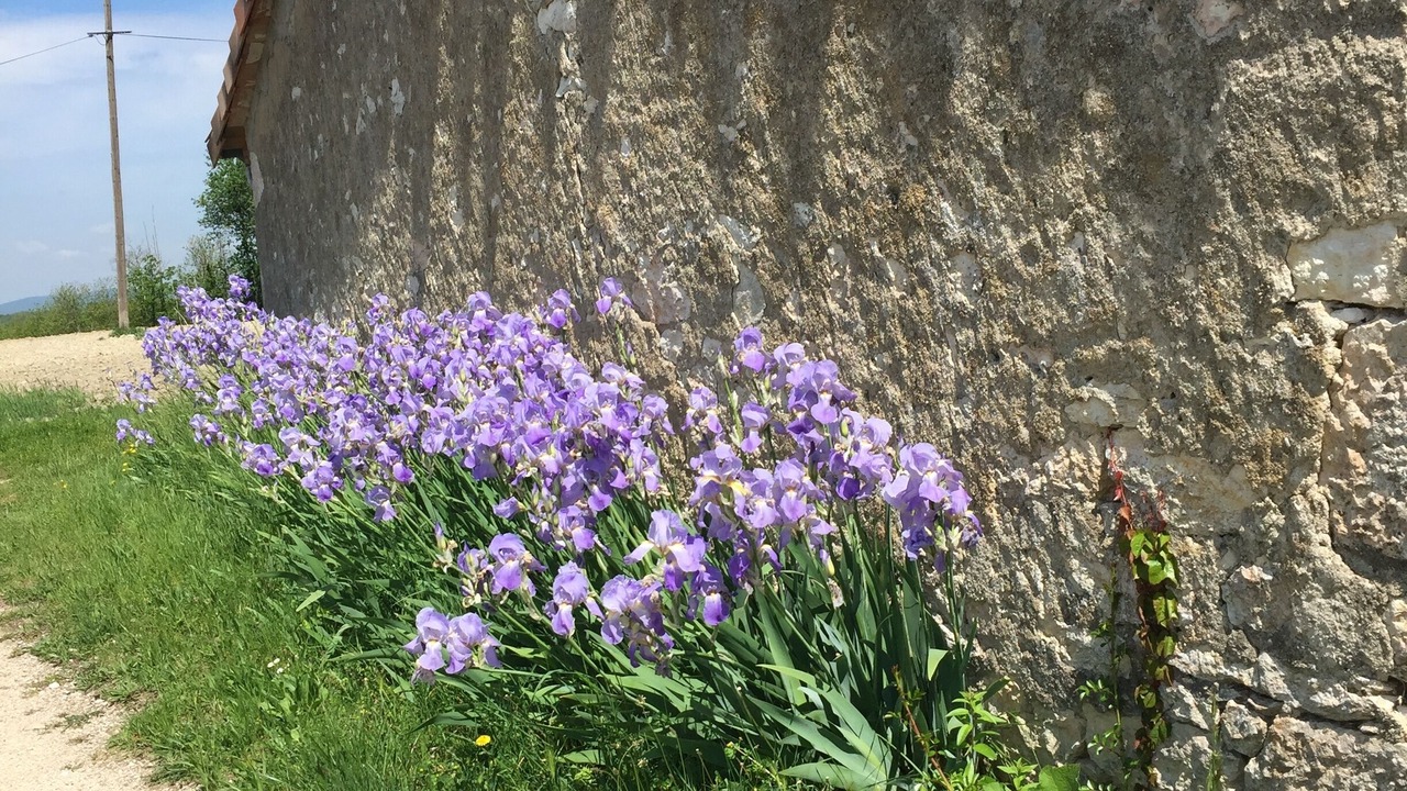 Photo of Outdoor in Castelnau-de-Montmiral