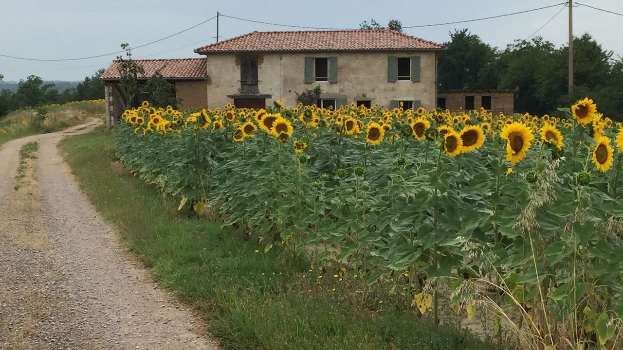 Photo of Outdoor in Castelnau-de-Montmiral