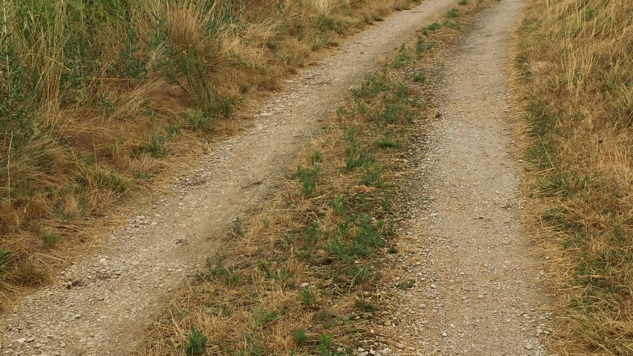 Photo of Others in Castelnau-de-Montmiral