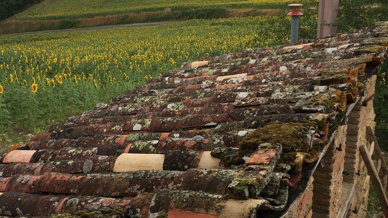 Photo of Outdoor in Castelnau-de-Montmiral