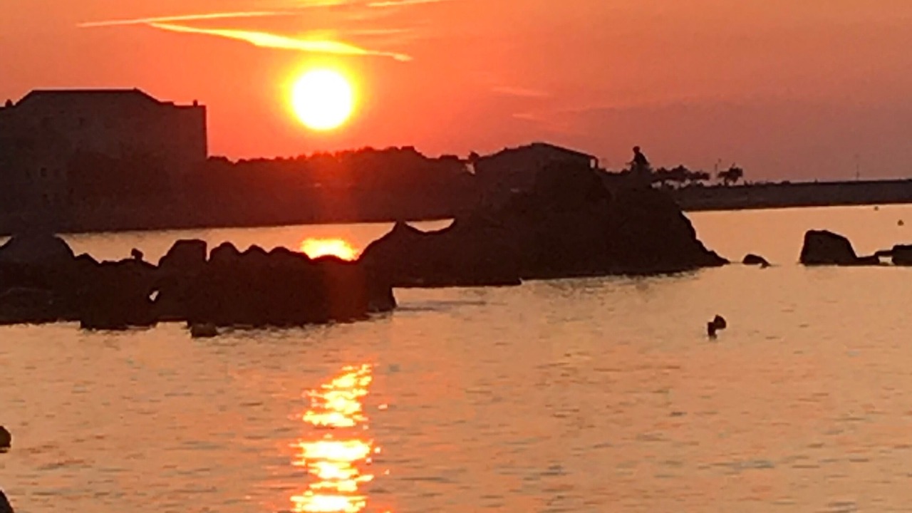 Photo of Others in Monticello