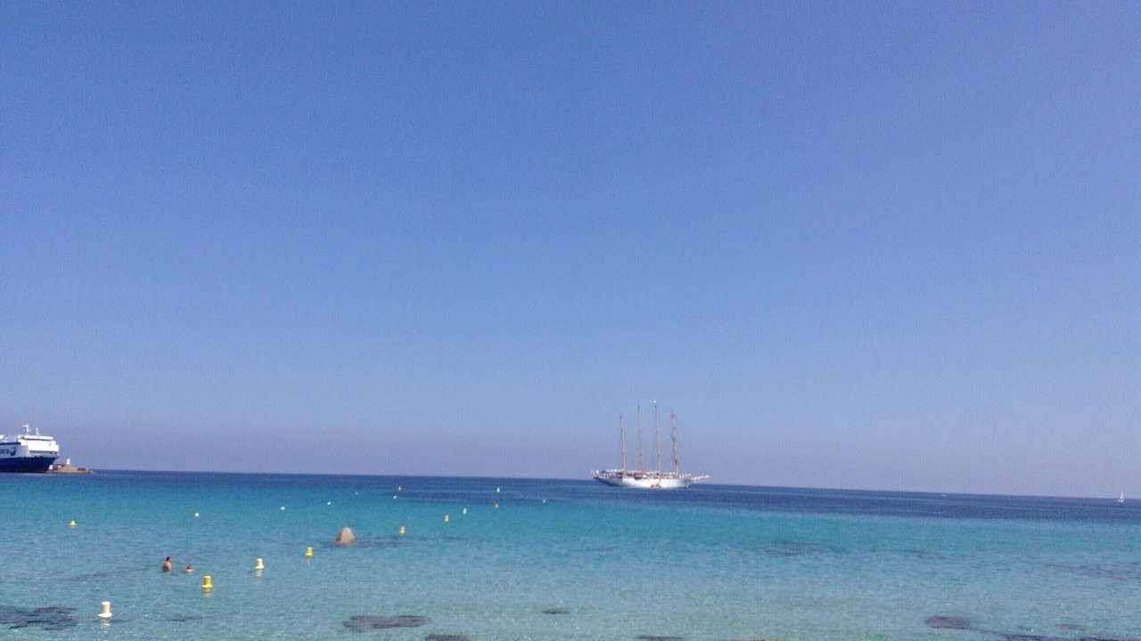 Photo of Others in Monticello