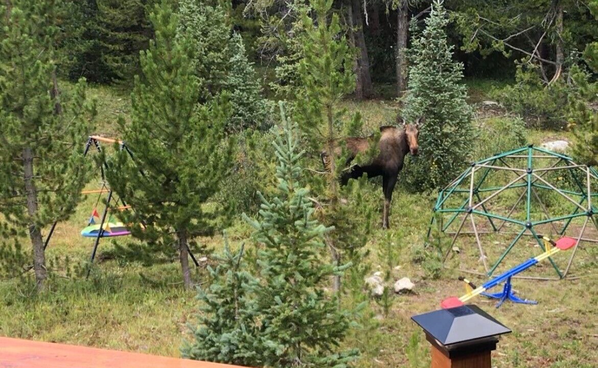 Photo of Outdoor in Breckenridge