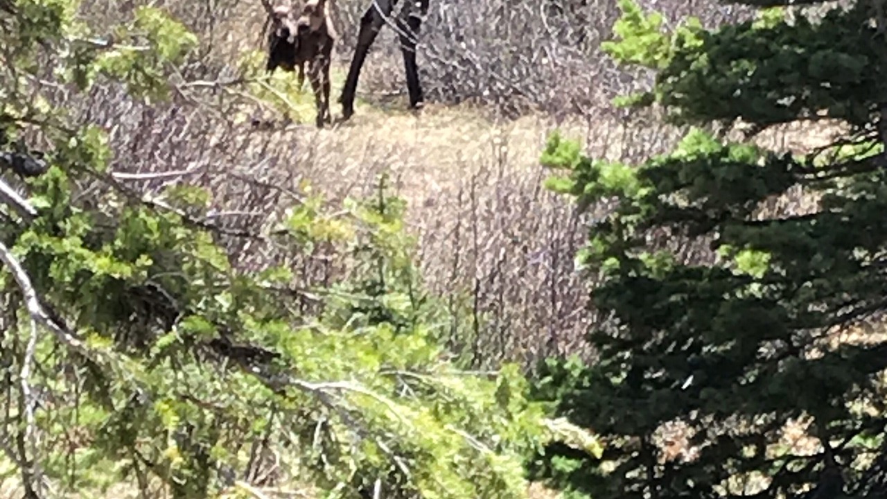 Photo of Outdoor in Breckenridge