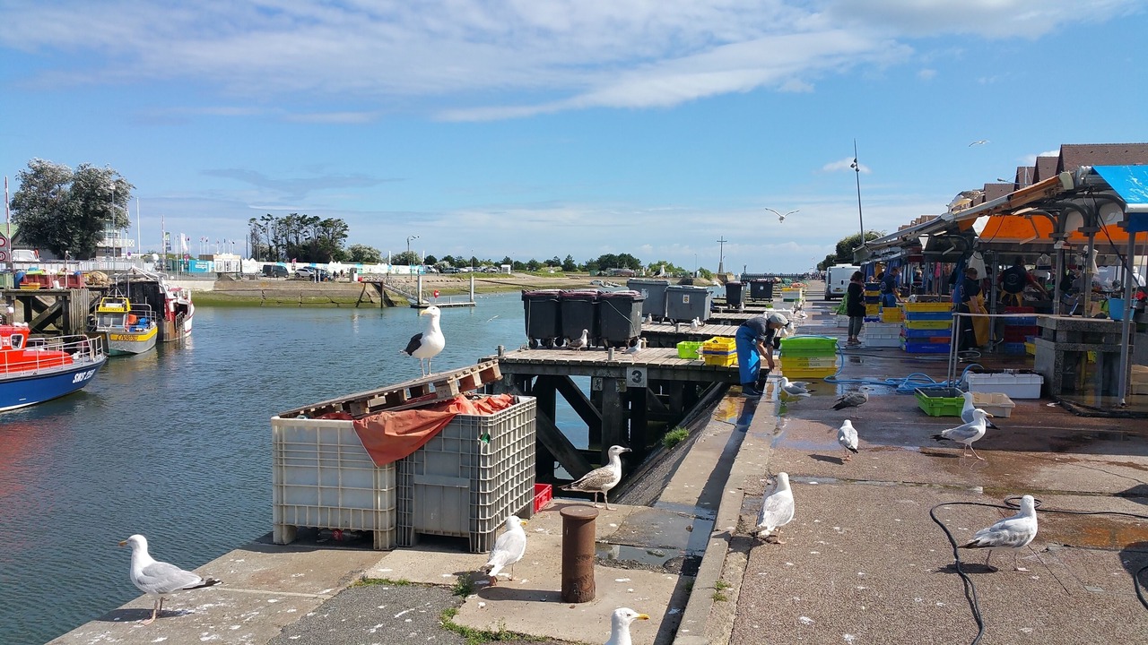 Photo of Outdoor in Saint-Regnobert-de-la-Cote-de-Nacre