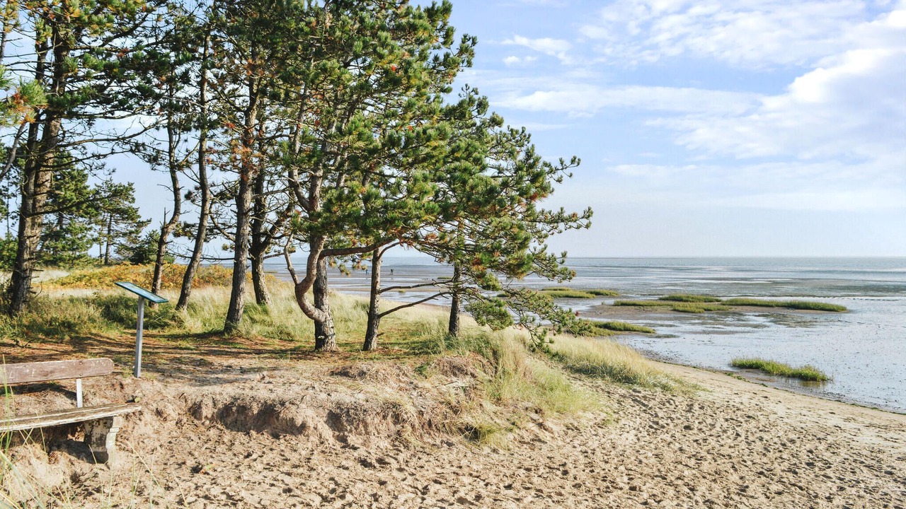 Photo of Others in Rømø Kirkeby