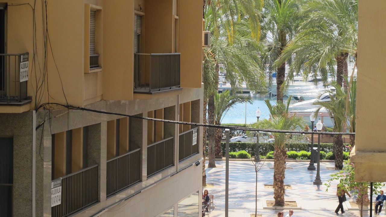 Photo of Others in Alicante City Centre