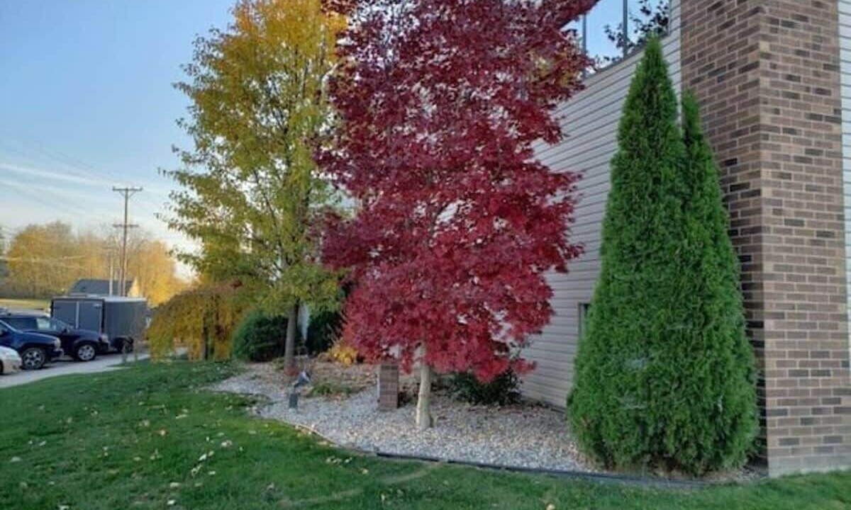 Photo of Outdoor in Niles