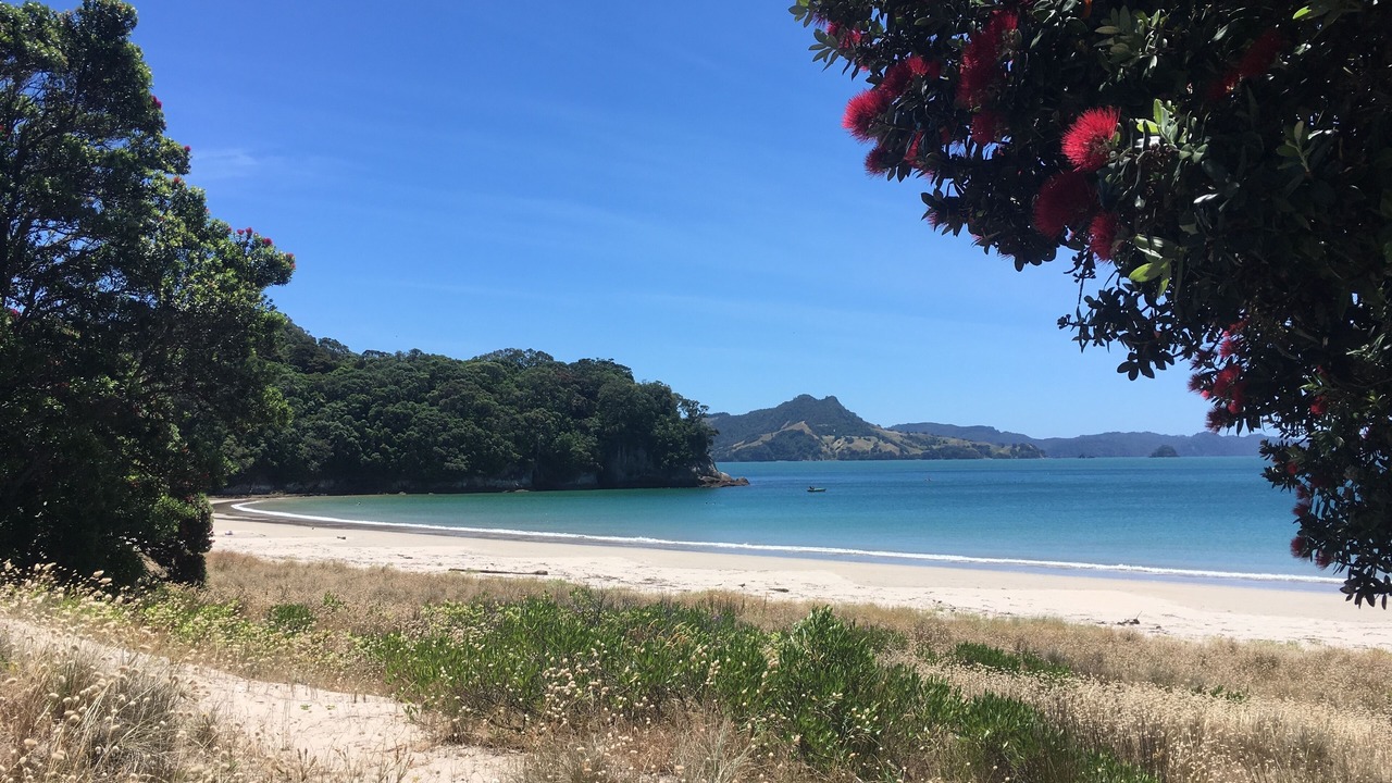 Photo of Others in Cooks Beach