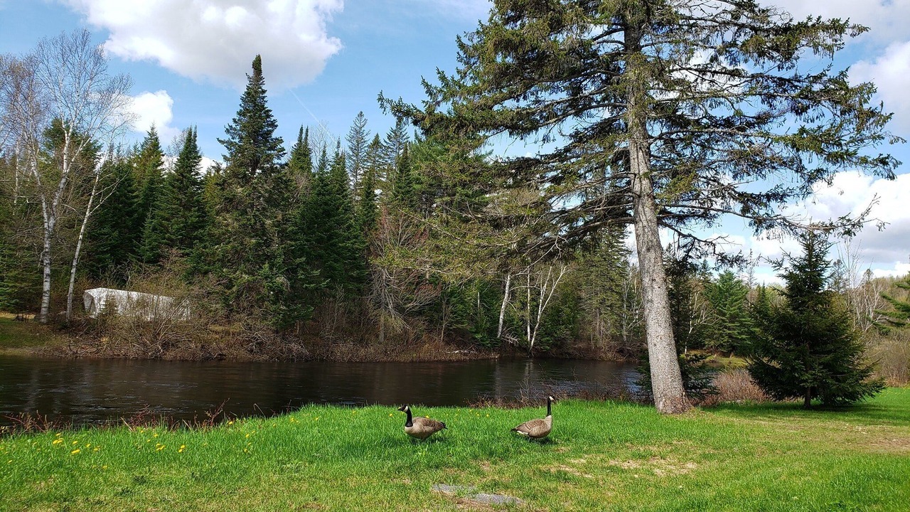 Photo of Outdoor in Saint Come