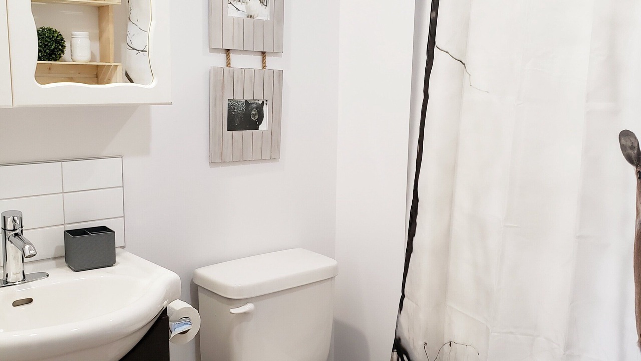 Photo of Bathroom in Saint Come