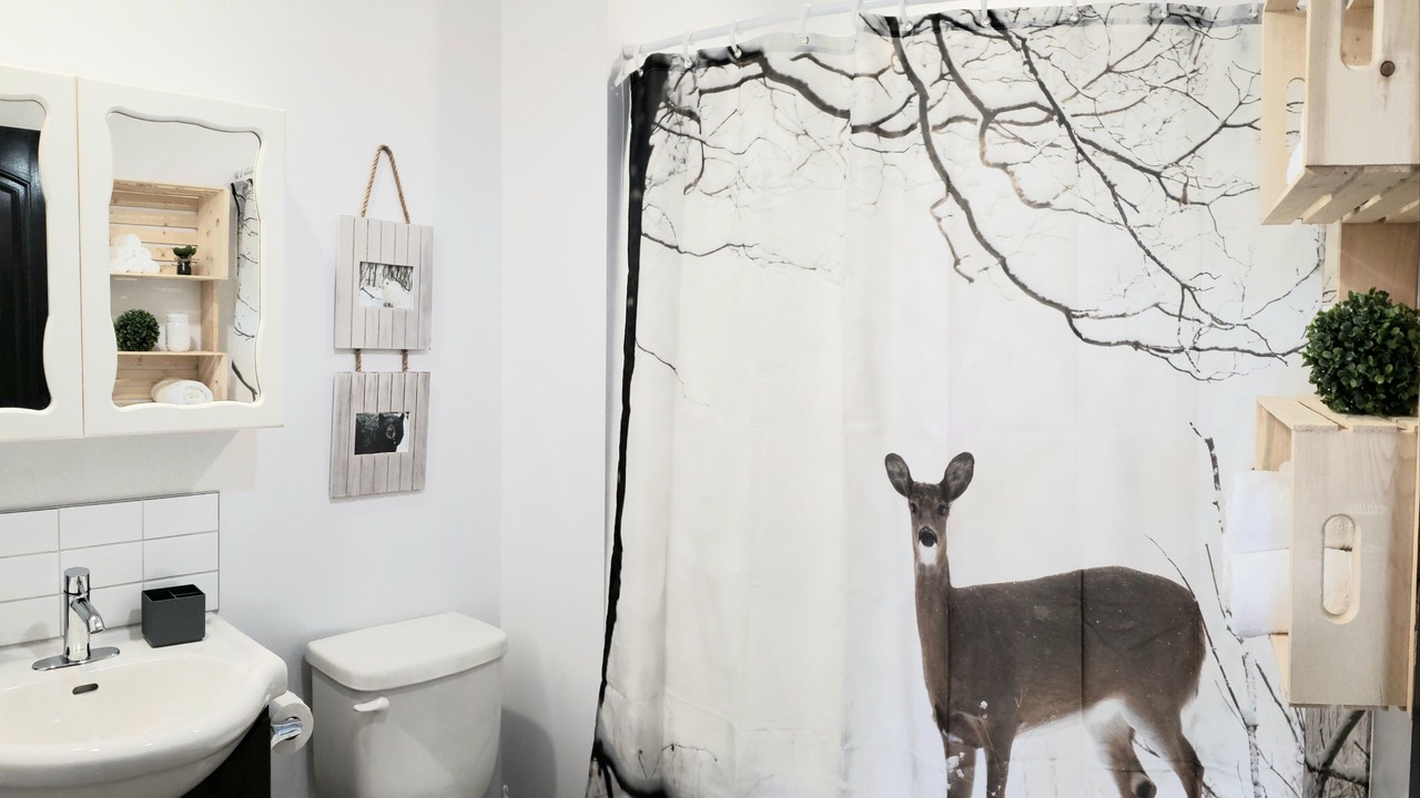 Photo of Bathroom in Saint Come