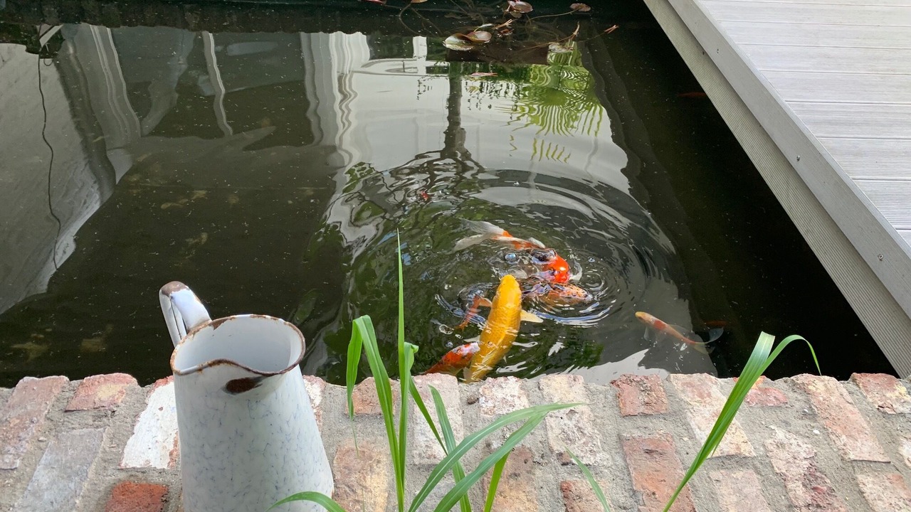 Photo of Outdoor in Lille Centre Ville