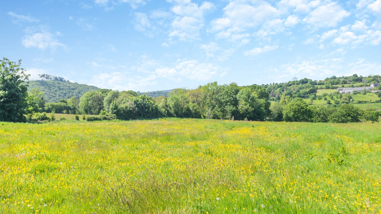 Photo of Others in Rumleigh