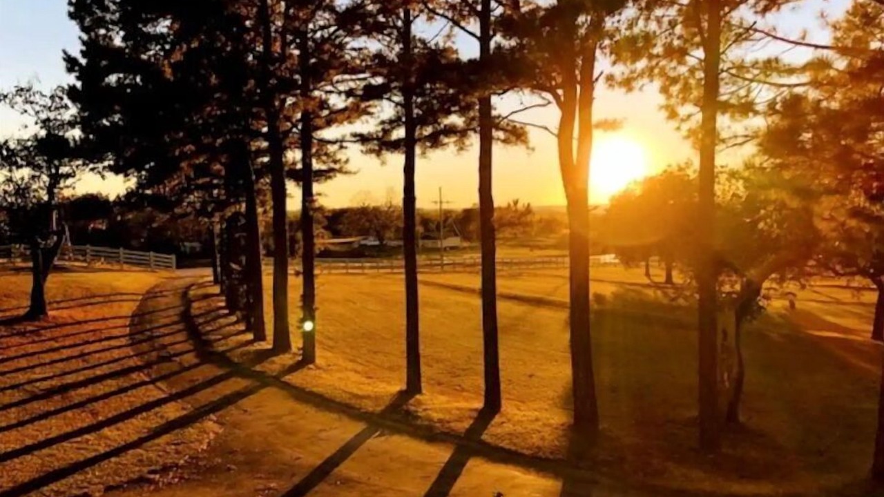 Photo of Outdoor in Davis