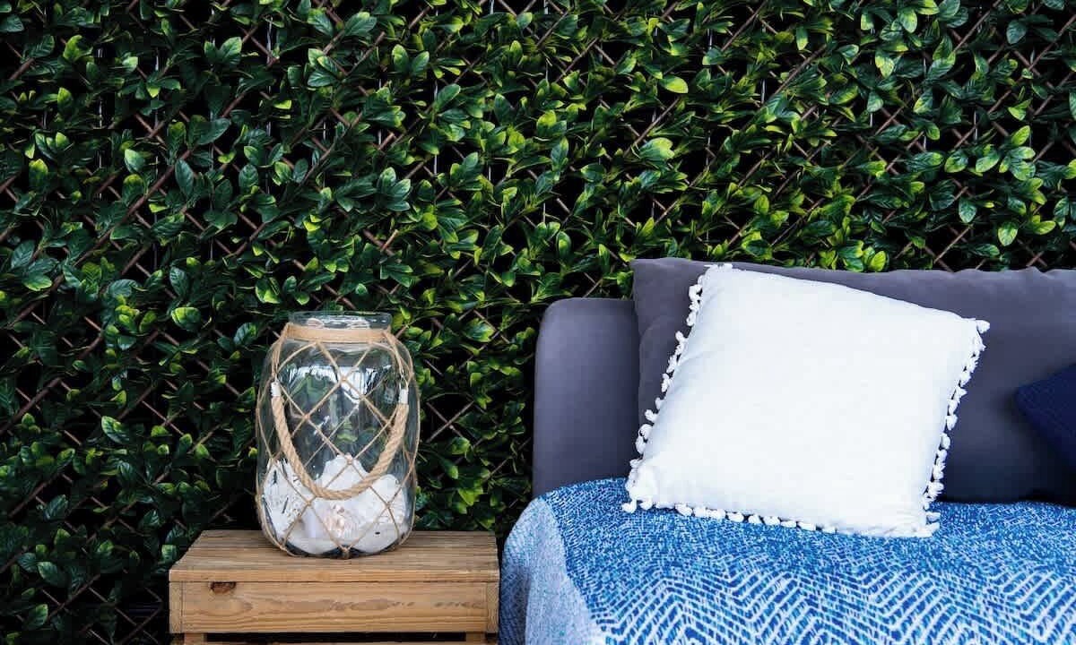 Photo of Others in Airlie Beach