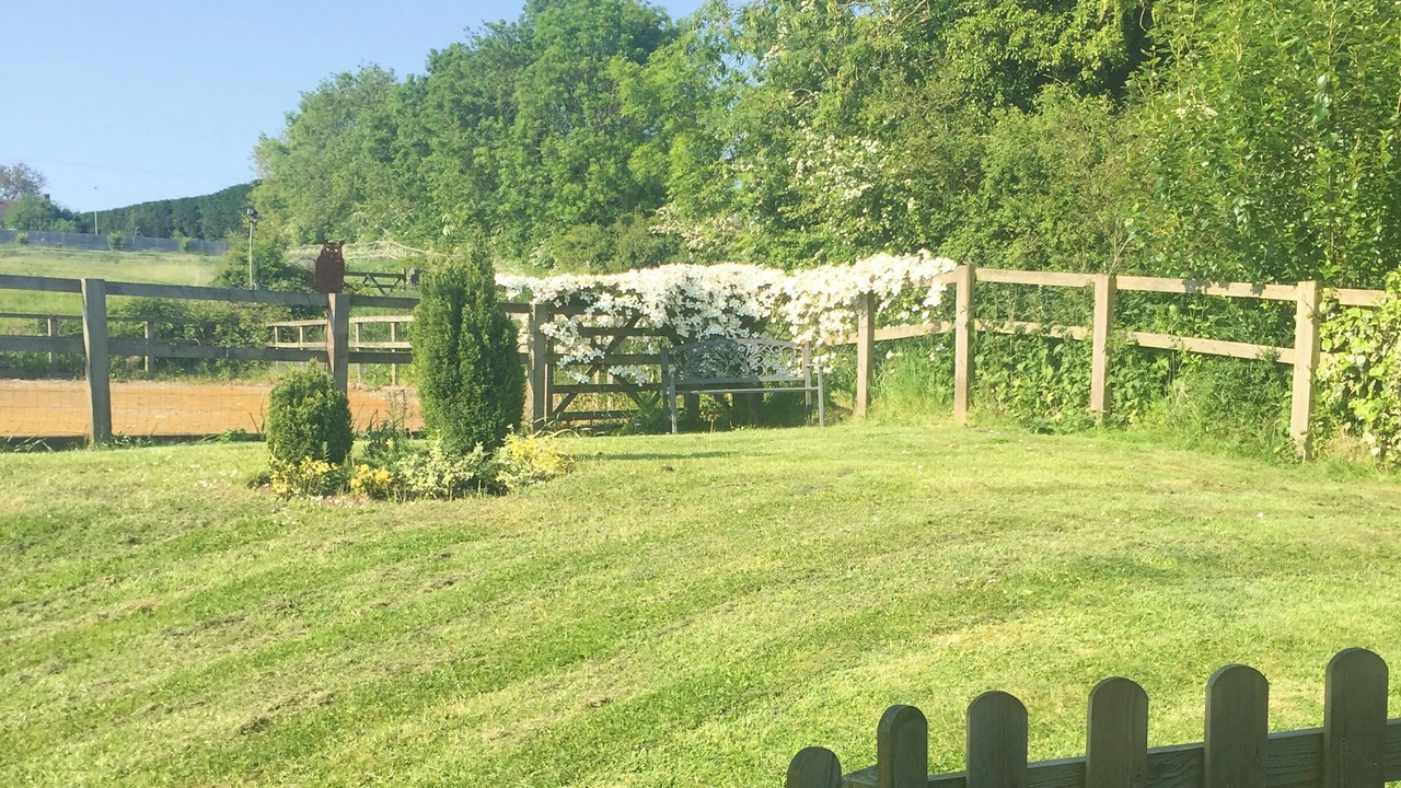 Photo of Outdoor in Manton