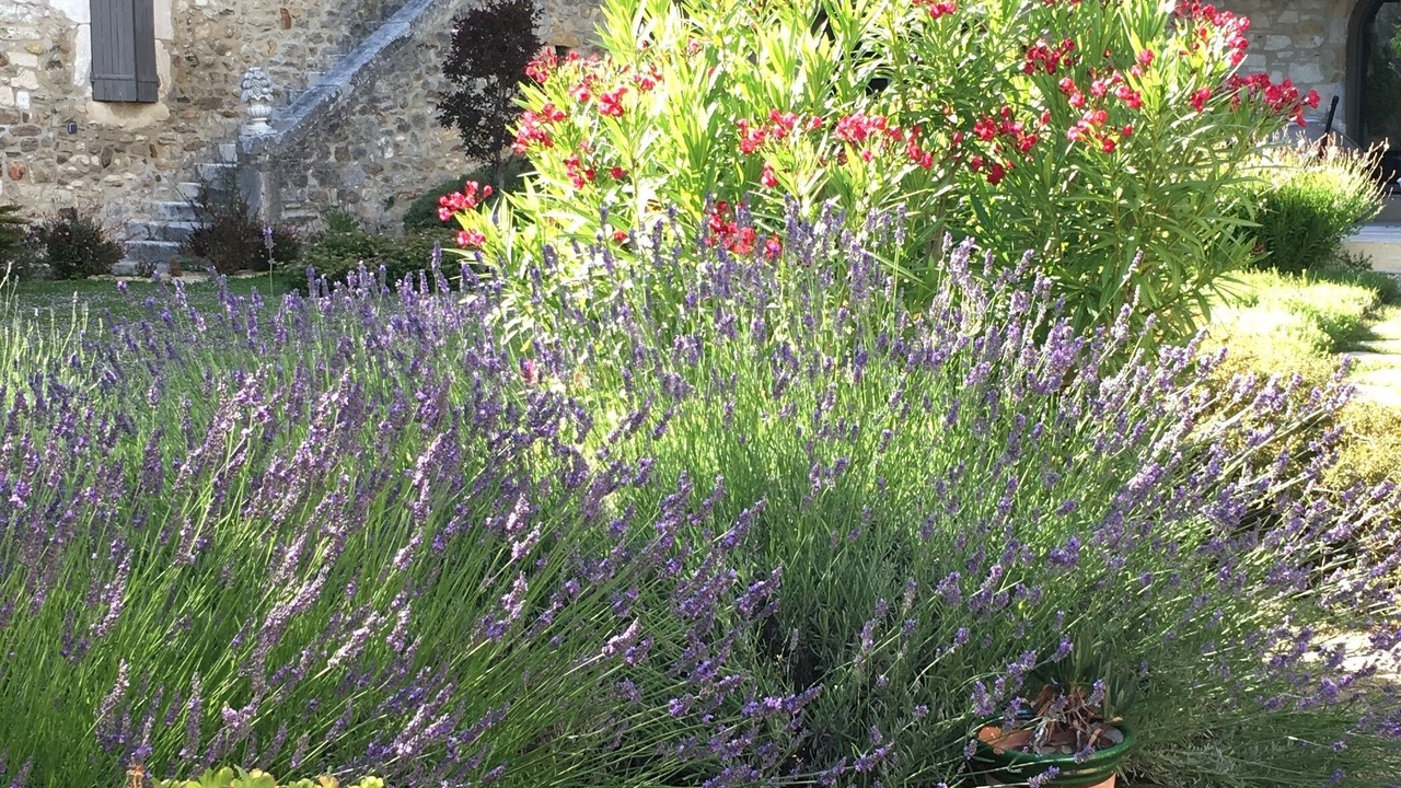 Photo of Outdoor in Goudargues
