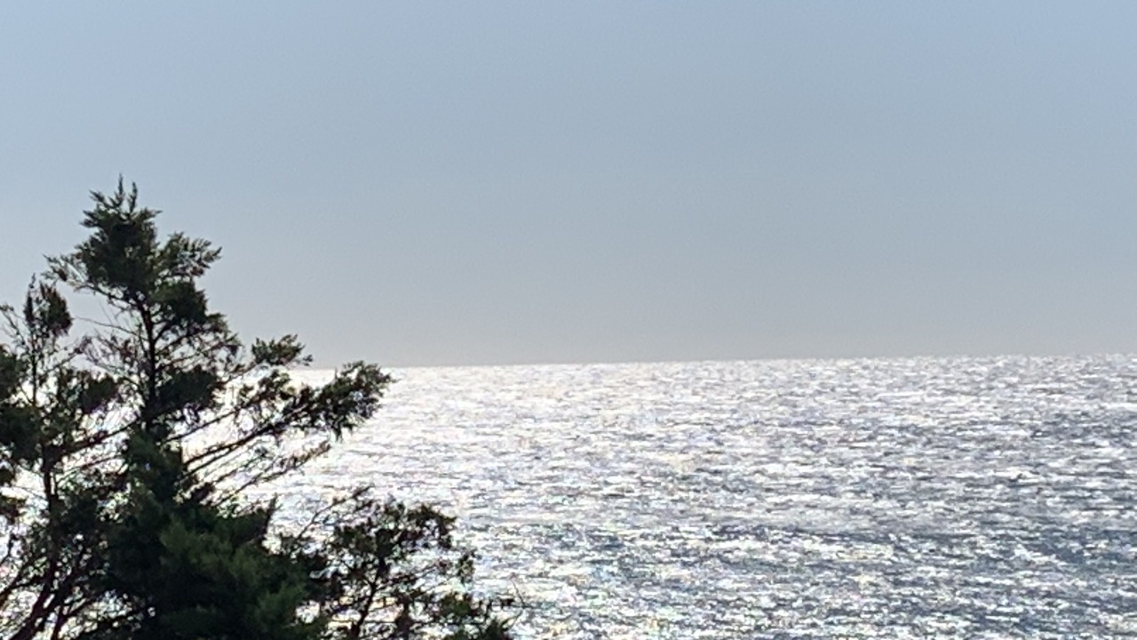 Photo of Others in Sausset-les-Pins