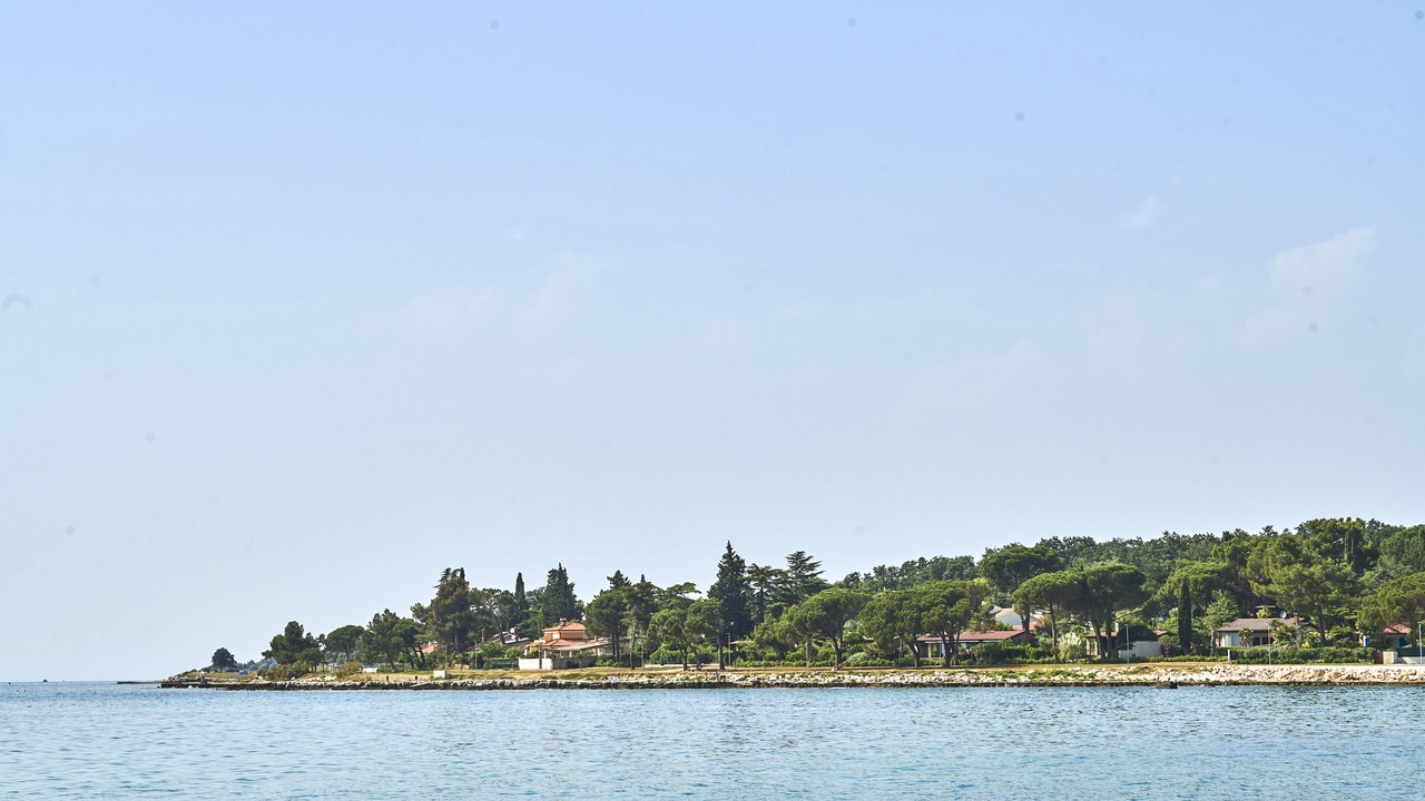 Photo of Others in Krizine