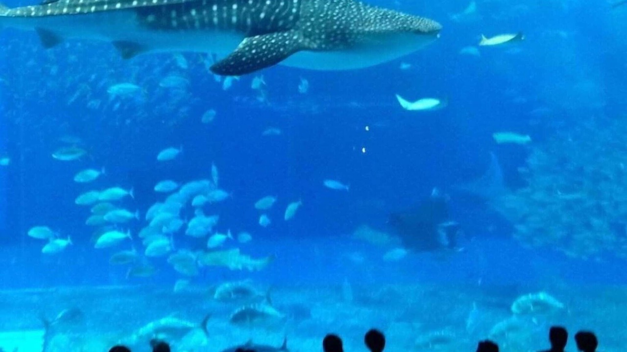 Photo of Others in Amneville