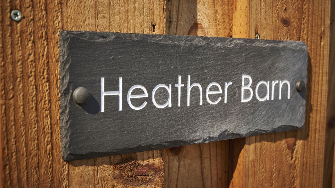 Photo of Others in Natland