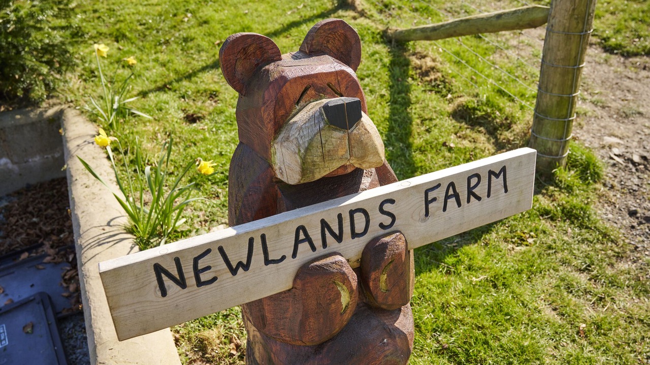 Photo of Others in Natland