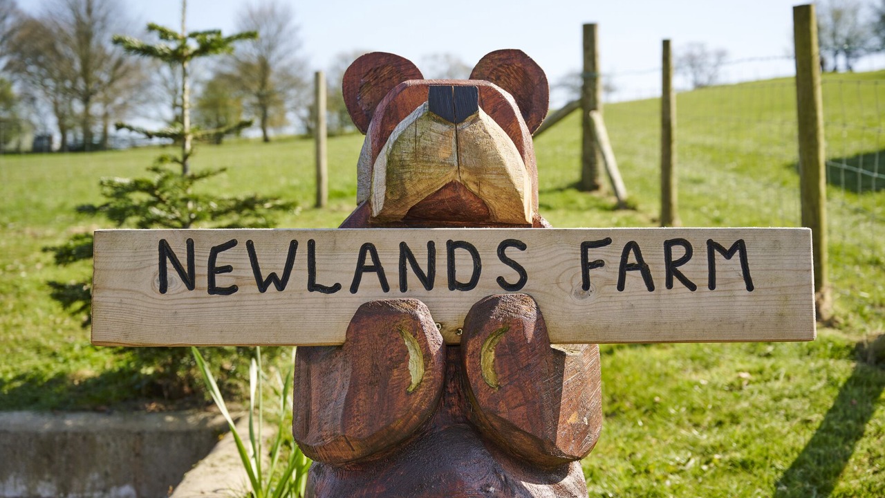 Photo of Others in Natland