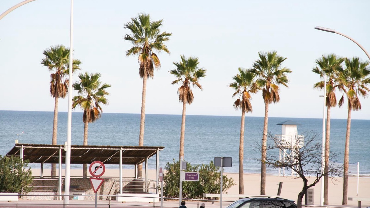 Photo of Outdoor in Grau i Platja