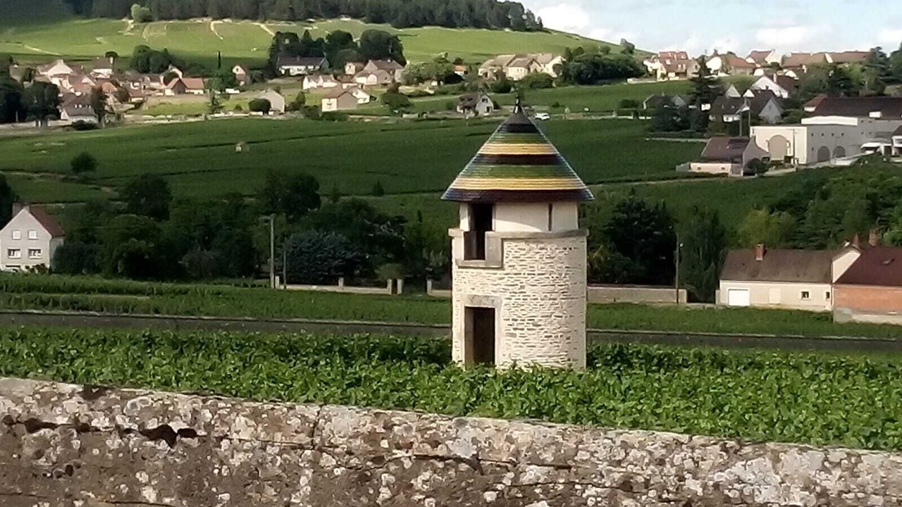 Photo of Outdoor in Meursault