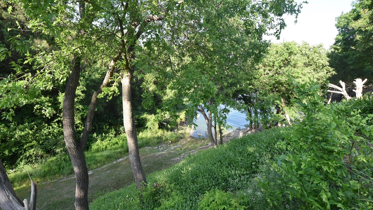 Photo of Outdoor in Whitney
