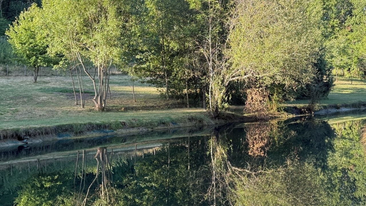 Photo of Others in Sainte-Sabine-Born