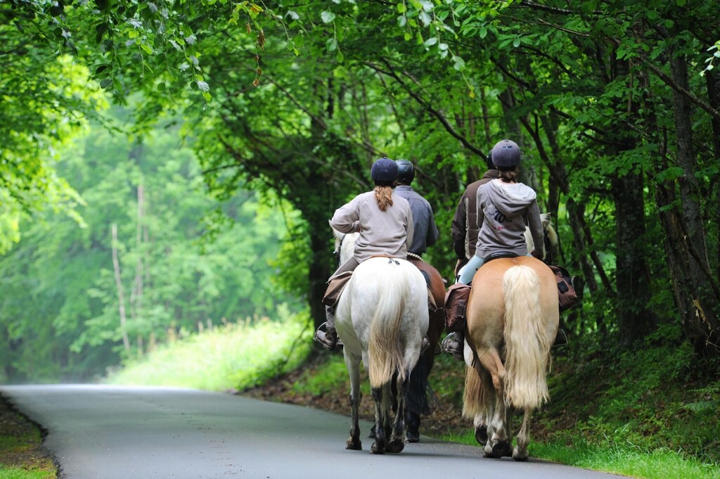 Photo of Others in La Ferriere-aux-Etangs