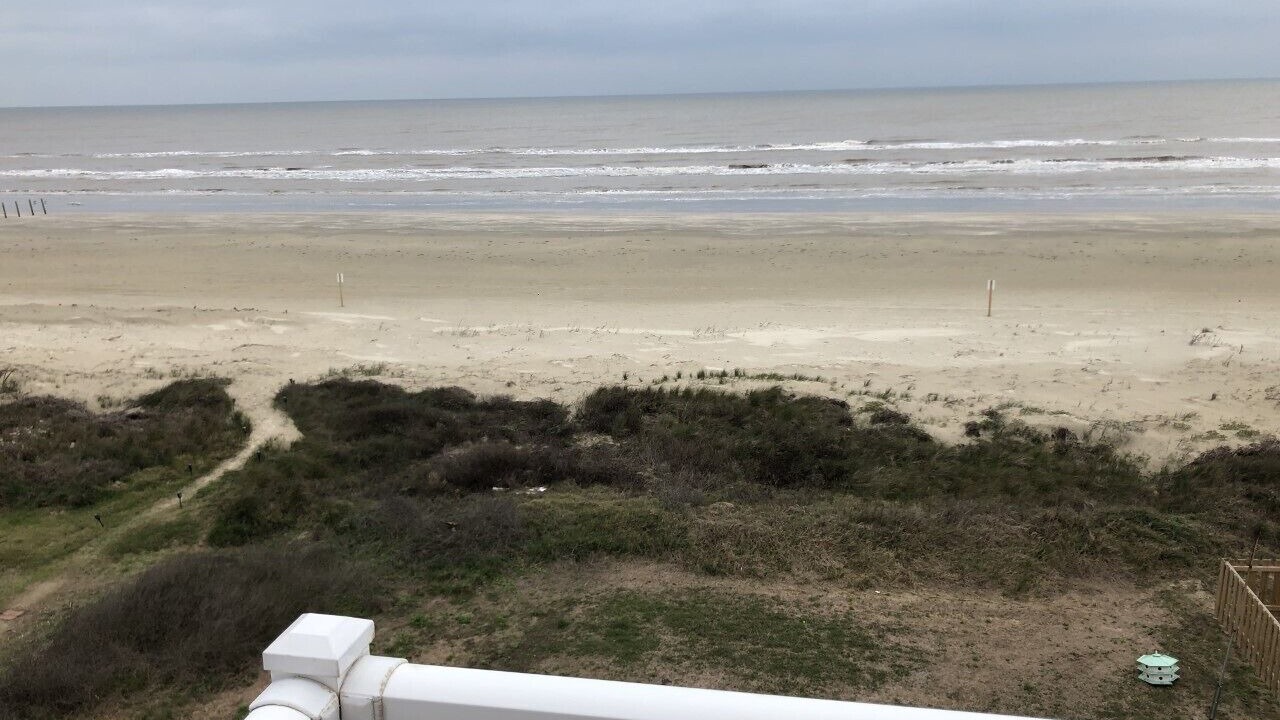 Photo of Outdoor in Gulf Palms