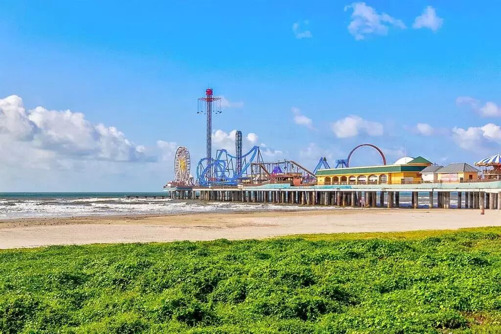 Photo of Others in Gulf Palms