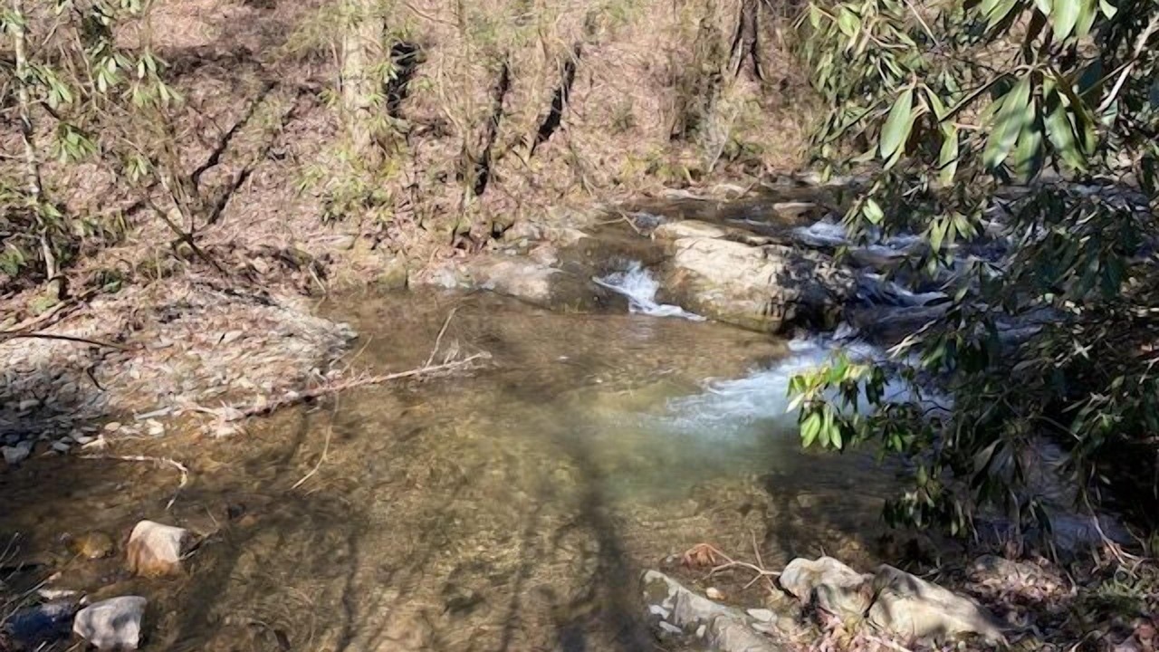 Photo of Others in Ellijay