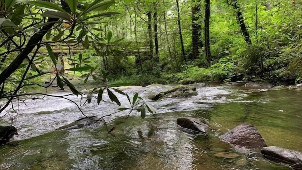 Photo of Others in Ellijay